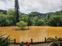 Thermalbecken (Farbe entsteht durch die Minerale und Eisen im 38°c heißen Wasser) im Park Terra Nostra auf Sao Miguel, Portugal