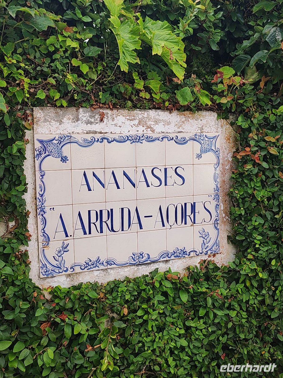 Eingang der Ananasplantage