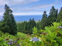 Blick auf die Südküste der Insel Sao Miguel, Portugal
