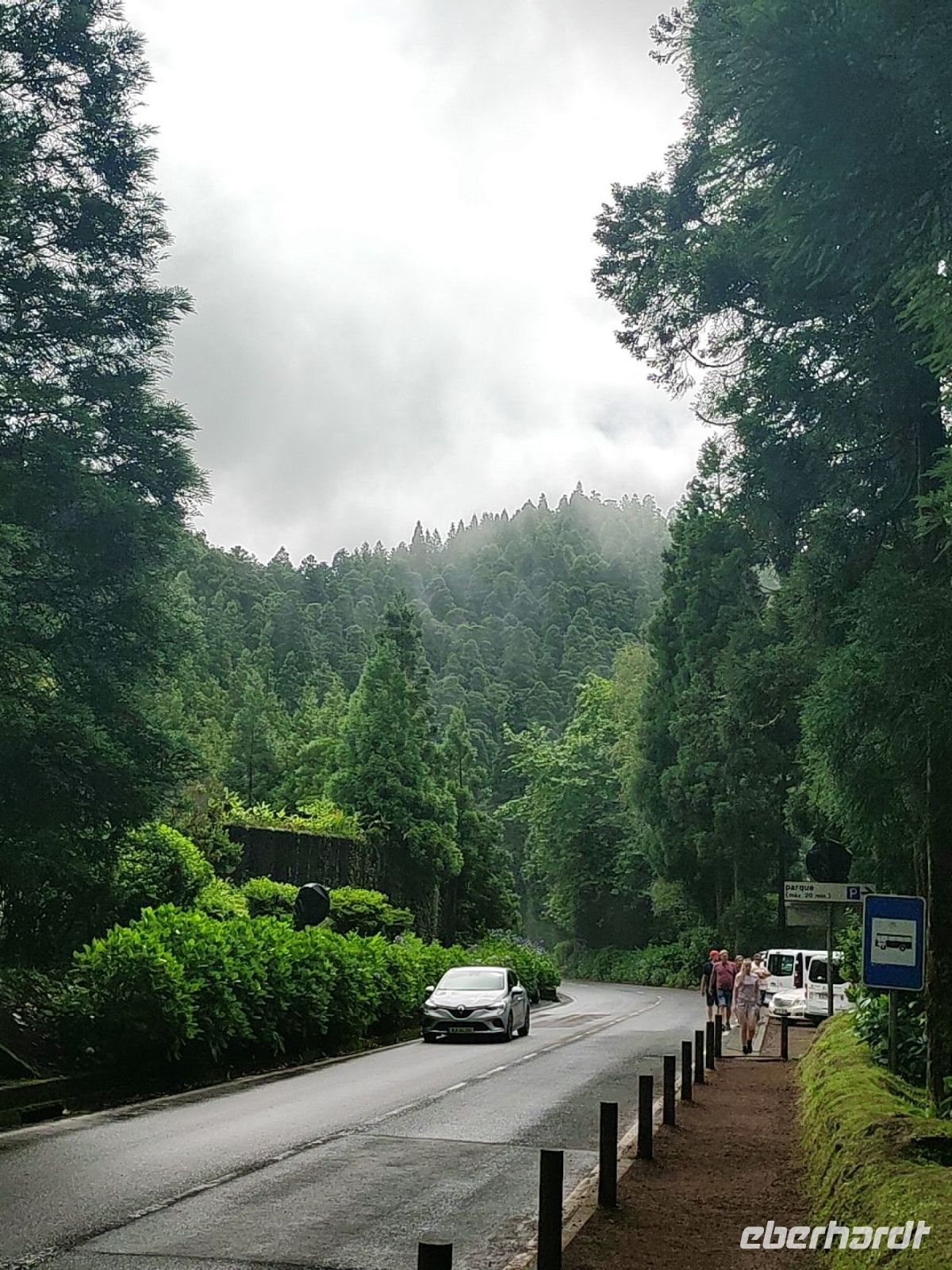 Der Wald nahe des Aussichtspunkte auf 