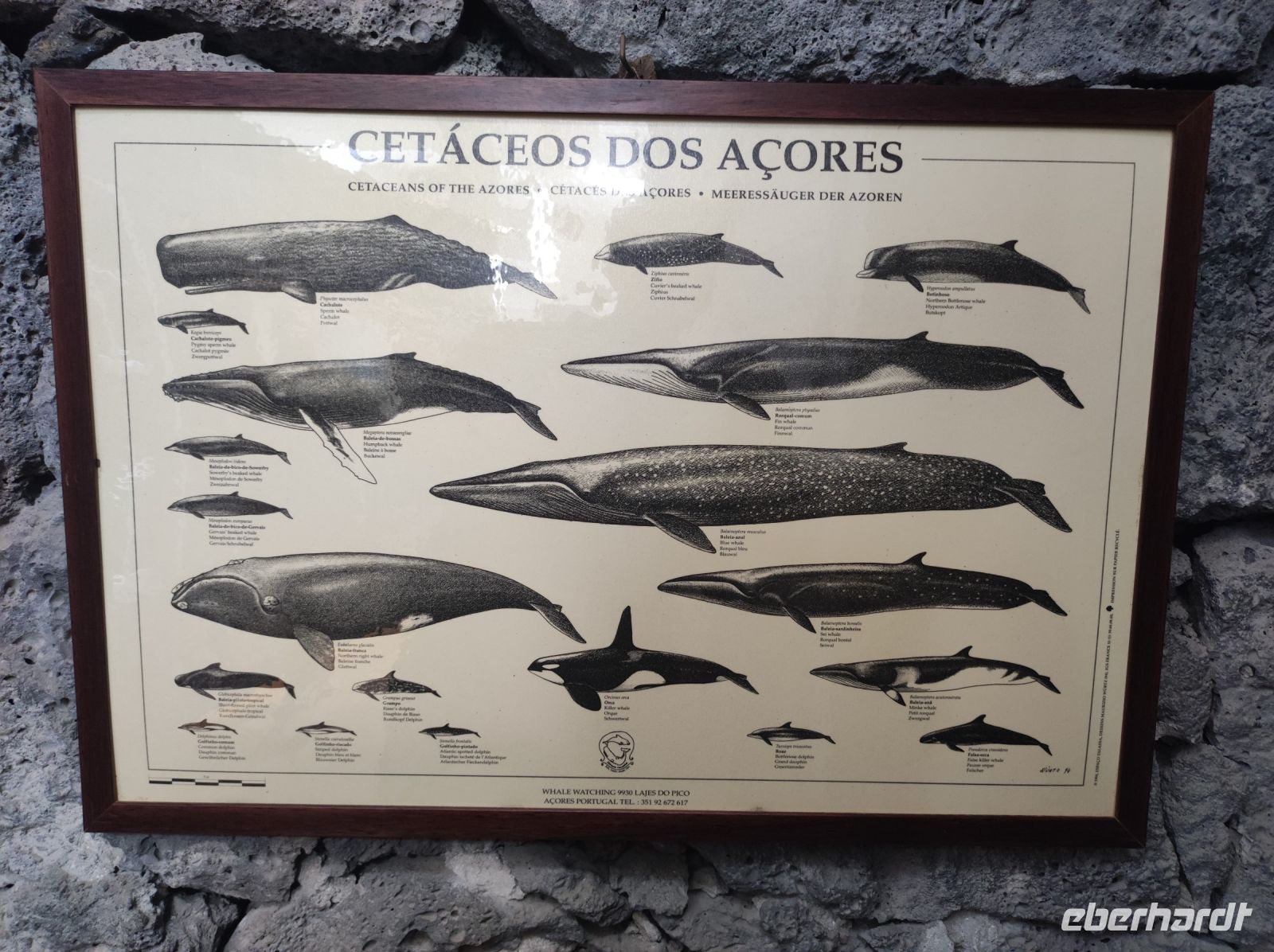 Ausstellung im Walfangmuseum in 