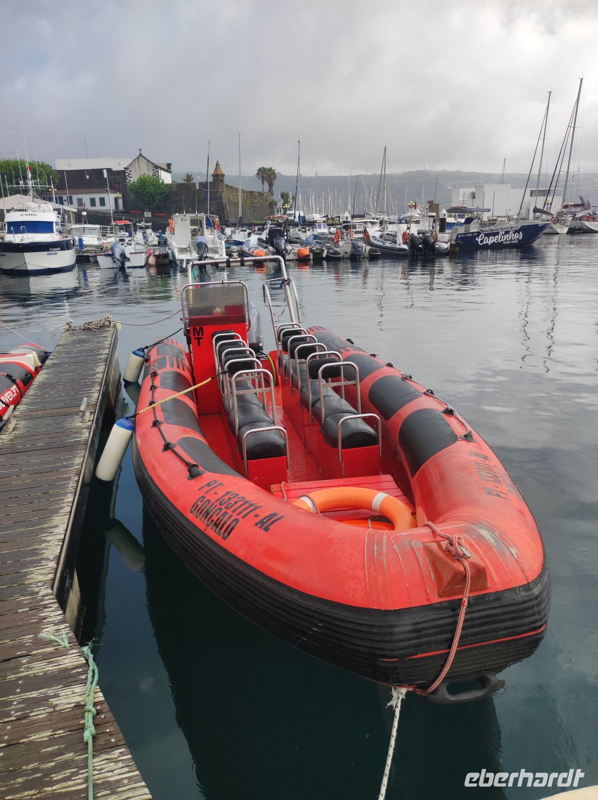 Unser Schlauchboot (Zodiac) mit dem wir uns auf Walbeobachtungstour begeben haben