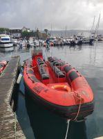 Unser Schlauchboot (Zodiac) mit dem wir uns auf Walbeobachtungstour begeben haben