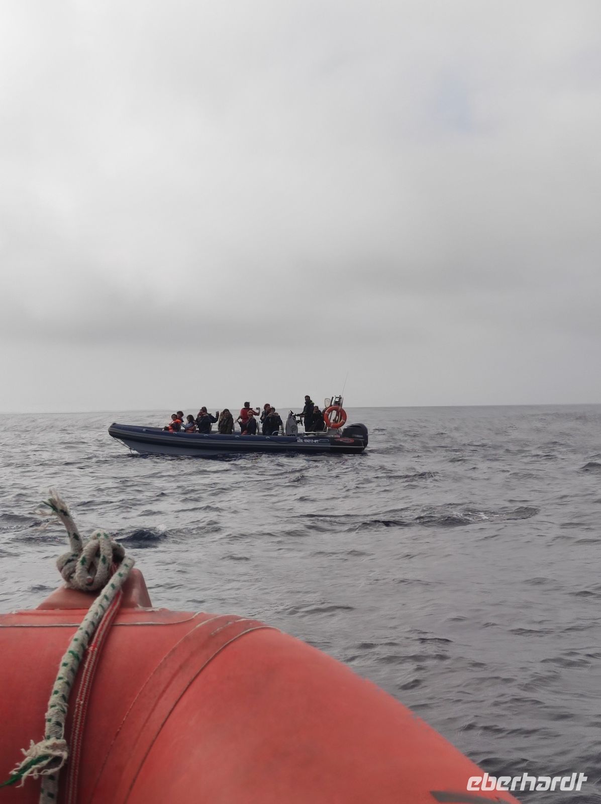 Ein Gruppe von Delfinen welche direkt vor und unter unseren Boot schwommen