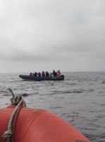 Ein Gruppe von Delfinen welche direkt vor und unter unseren Boot schwommen
