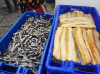 Auf dem Markt in Angra do Heroismo auf Terceira, Portugal