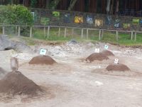 Unser Essen wird gegart