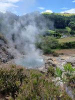 alles fühlt sich mit Rauch