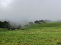 Nebelschwaden erschweren die Sicht