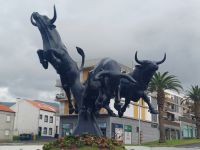 Stierkampf fast täglich