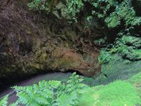 Abstieg in die Höhle Algar do Carvao