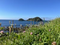 Sao Miguel: Inselrundfahrt mit dem Reisebus
