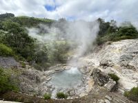 Ganztagesausflug nach Furnas