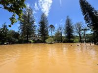 Ganztagesausflug nach Furnas: Terra Nostra