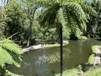 Ganztagesausflug nach Furnas: Terra Nostra