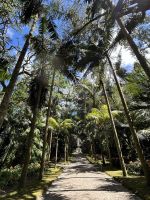 Ganztagesausflug nach Furnas: Terra Nostra