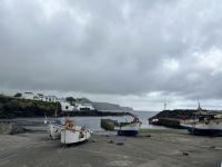Ganztagesausflug an Lagoa do Fogo: Fischereihafen