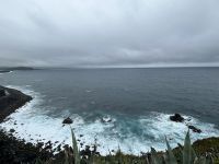 Ganztagesausflug an Lagoa do Fogo: Fischereihafen