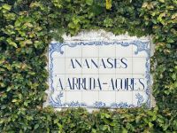 Ganztagesausflug Sete Cidades: Ananasplantage