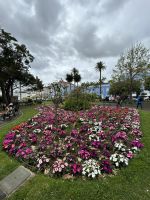 Stadtrundgang in Sao Miguel