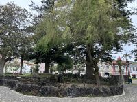 Stadtrundgang in Horta