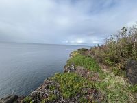 Ganztägige Inselrundfahrt auf Faial