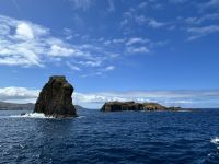 Ganztagesausflug Insel Pico