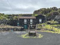 Ganztagesausflug Insel Pico: Gezeitenbrunnen