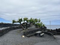 Ganztagesausflug Insel Pico