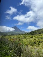 Ganztagesausflug Insel Pico