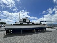 Ganztagesausflug Insel Pico