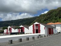 Ganztagesausflug Insel Pico