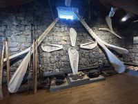 Ganztagesausflug Insel Pico: Walfangmuseum