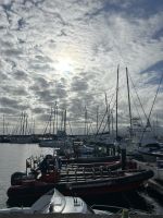 Fakultative Walbeobachtung