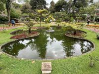 Stadtrundgang: Angra do Heroismo: Botanischer Garten