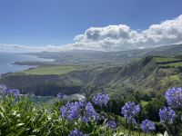 Wikommen auf den Azoren.