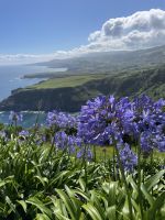 Inselrundfahrt Sao Miguel - Aussichtspunkt St.Iria