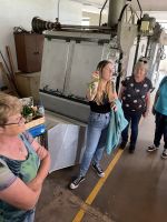 Inselrundfahrt Sao Miguel - Teeplantage Gorreana