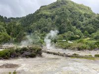 Inselrundfahrt Sao Miguel - Terra Nostra Park