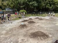 Inselrundfahrt Sao Miguel - Terra Nostra Park