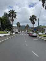 Inselrundfahrt Sao Miguel - Terra Nostra Park