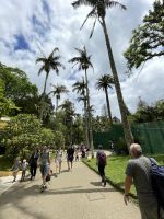 Inselrundfahrt Sao Miguel - Terra Nostra Park