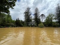Inselrundfahrt Sao Miguel - Terra Nostra Park