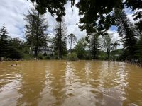 Inselrundfahrt Sao Miguel - Terra Nostra Park