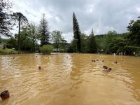 Inselrundfahrt Sao Miguel - Terra Nostra Park