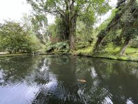 Inselrundfahrt Sao Miguel - Terra Nostra Park