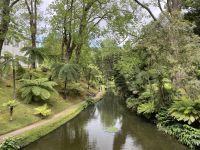 Inselrundfahrt Sao Miguel - Terra Nostra Park