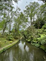 Inselrundfahrt Sao Miguel - Terra Nostra Park