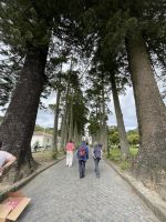 Inselrundfahrt Tag 2 - Sete Cidades