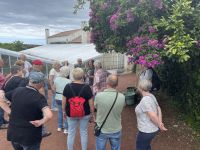 Inselrundfahrt Tag 2 - Capelas - Besuch des Ethnographischen Museums 